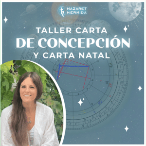Carta de Concepción